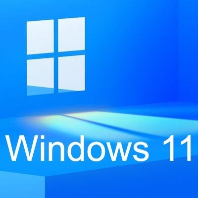 Образ Windows 11